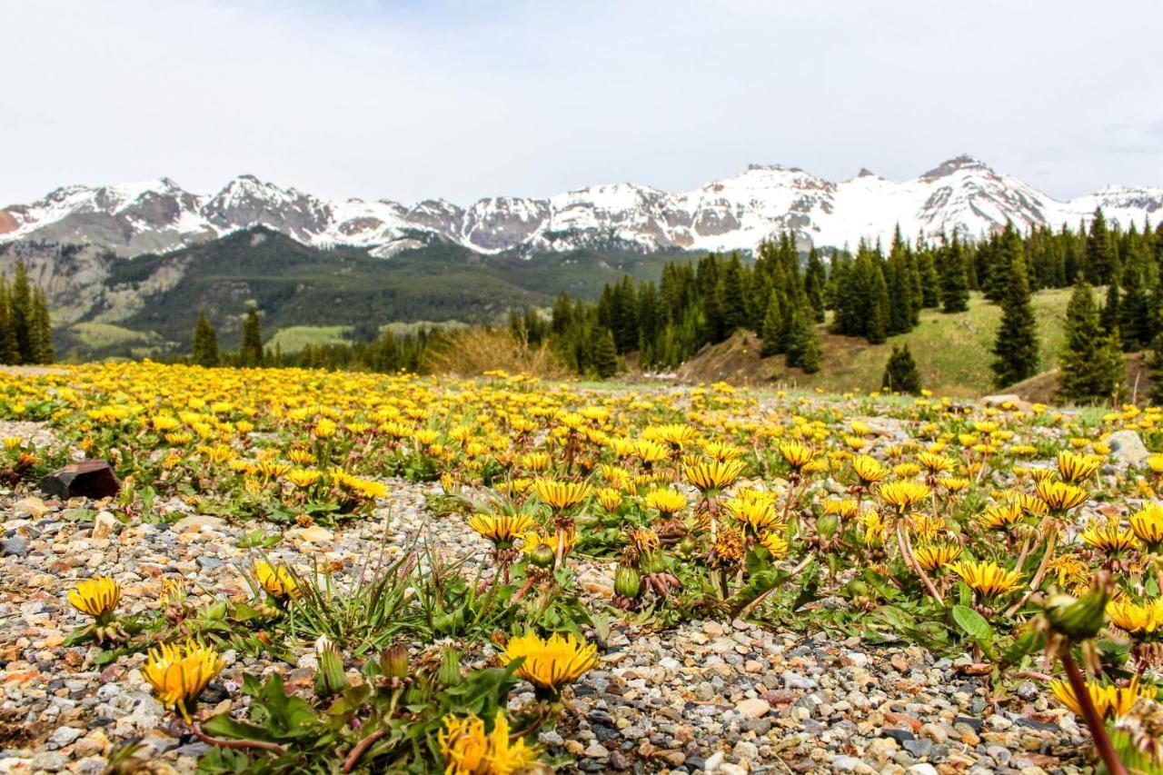 Telluride Town Jewel Apartment Luaran gambar